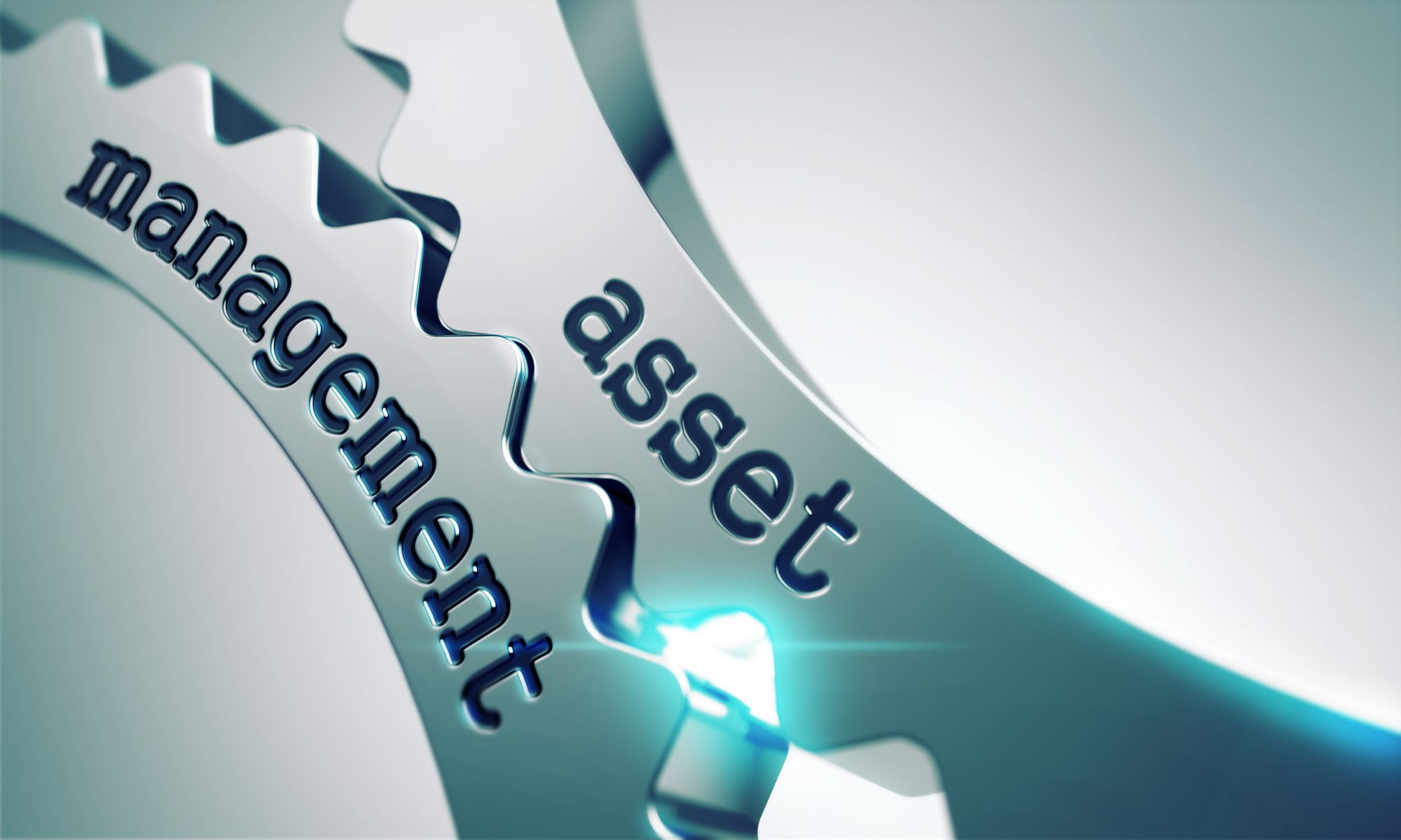 Asset Management: Alignment with the organizational needs